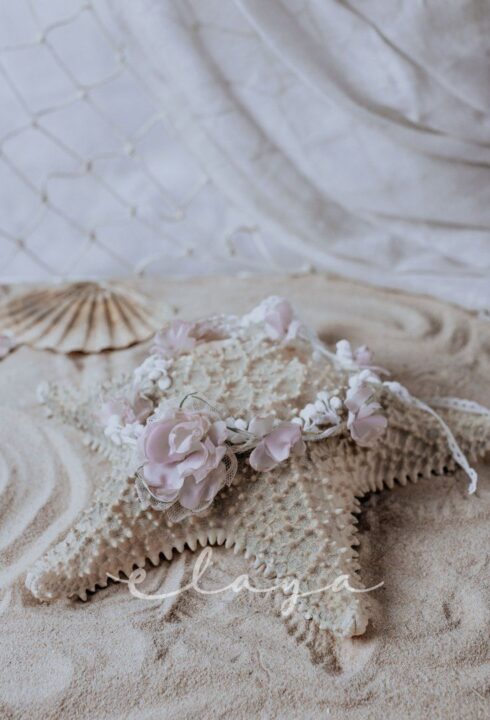 Tira cinturón 2023-01